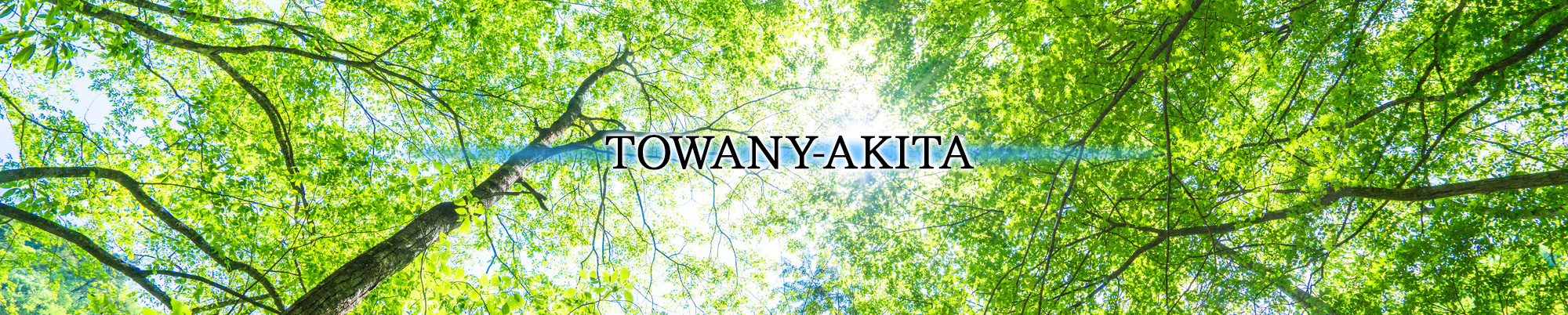 TOWANY-AKITA